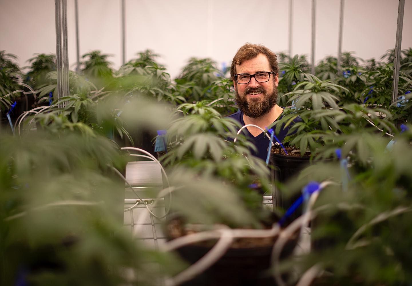 Do you love your job? More importantly, does it love you back? 
The US cannabis industry supports over 320,000 full-time jobs, adding more everyday. 
If you’re trying to find a job or fill a job within the Massachusetts cannabis space, @theviriditygroup is your go-to. They specialize in staffing, recruiting, educational training, certifications, and strategic planning. 
Raise your hand if you want a job in cannabis! ✋