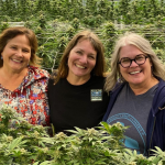 Untitled design (65)