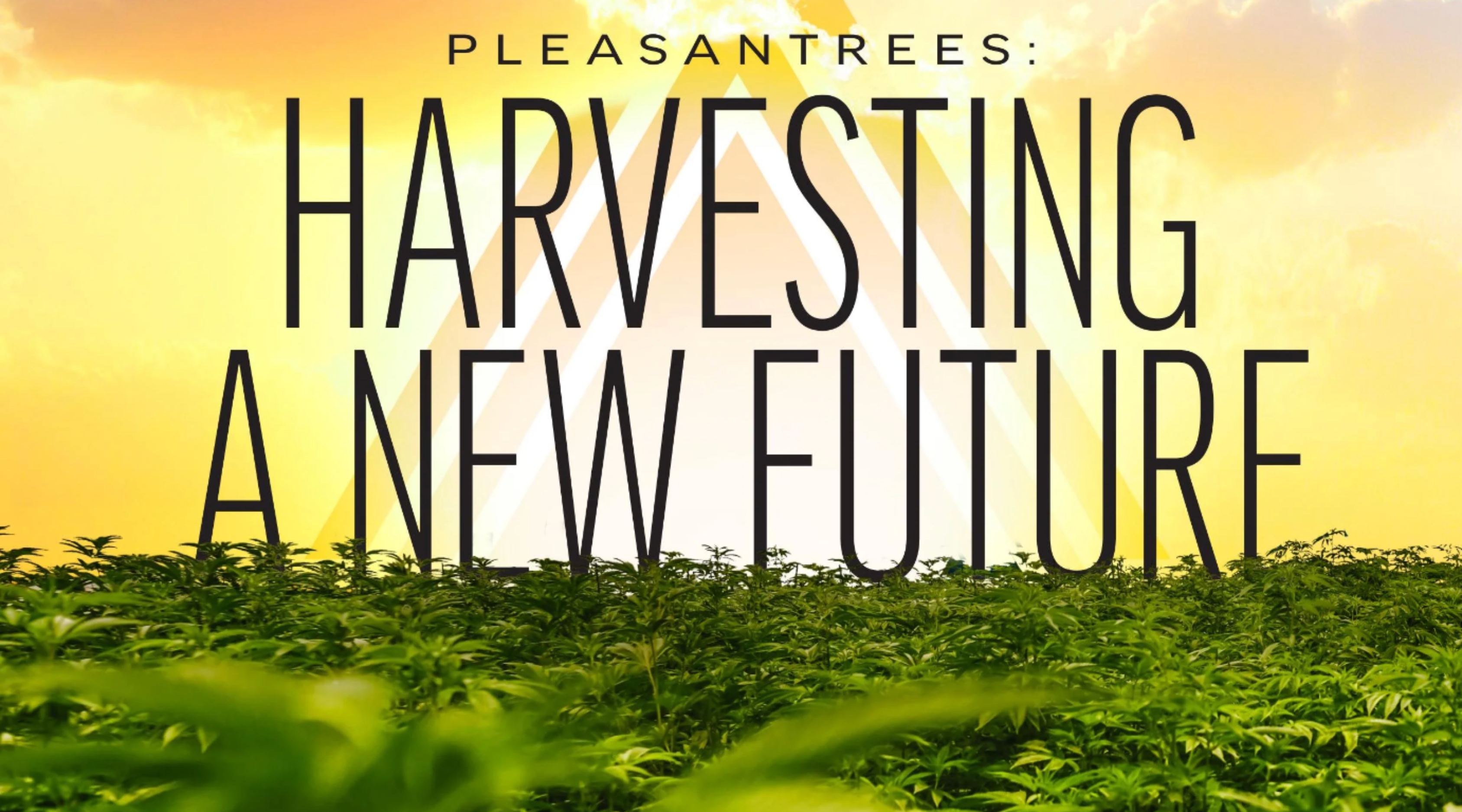 COURTESY OF PLEASANTREES