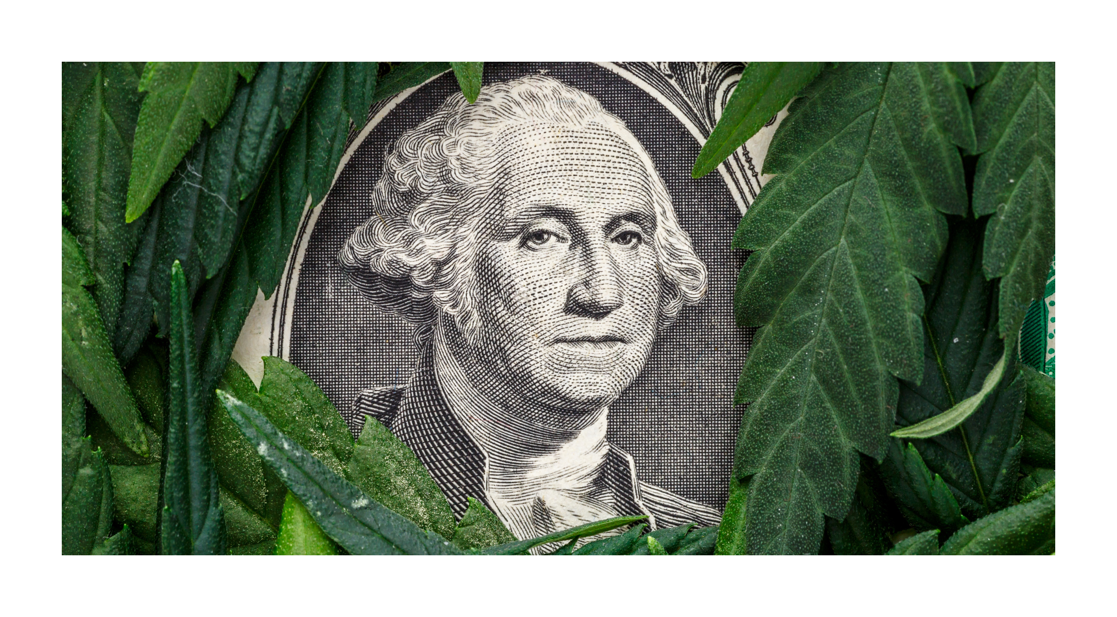 Website Article Lead Pic Template (1085x600)(20)