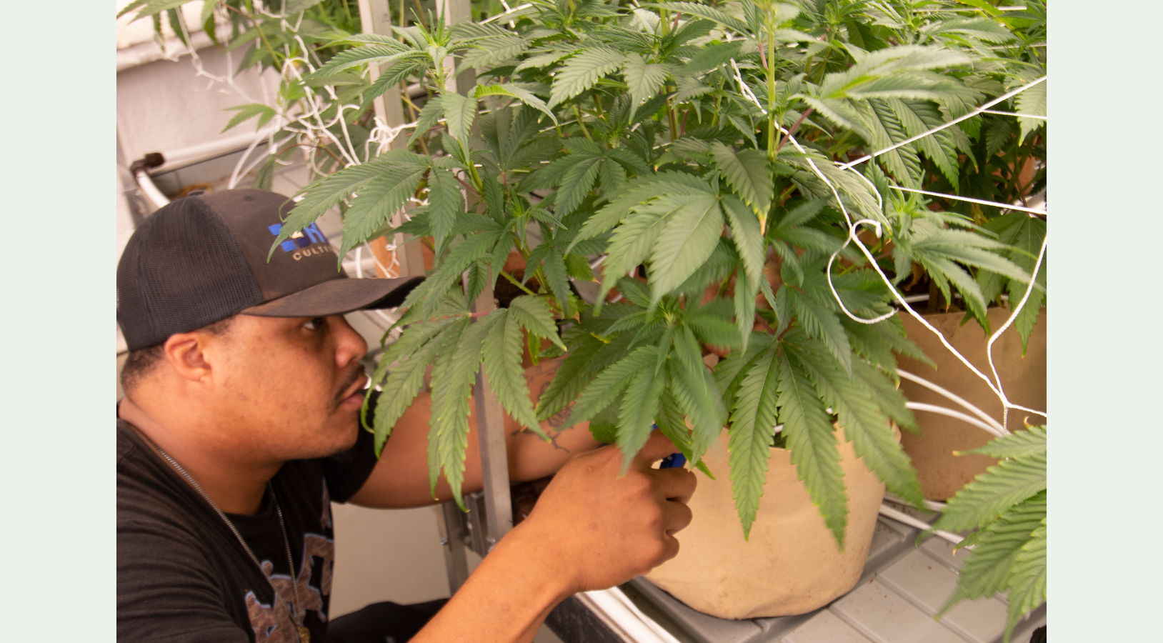 Website Article Lead Pic Template (1085x600)(4)